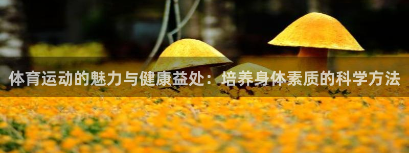 杏彩xc官网：体育运动的魅力与健康益处：培养身体素质的科学方法