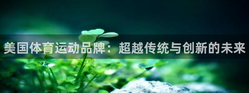 xc35：美国体育运动品牌：超越传统与创新的未来