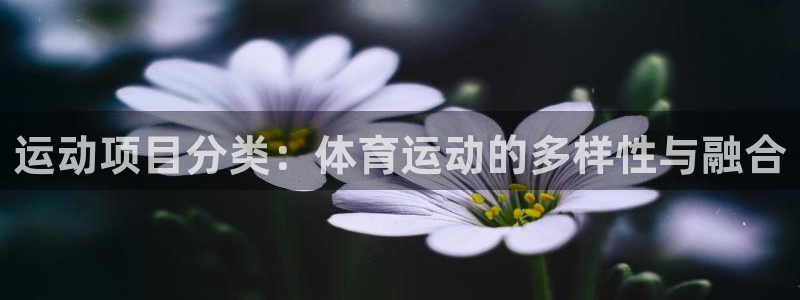 杏彩xc3登陆：运动项目分类：体育运动的多样性与融合