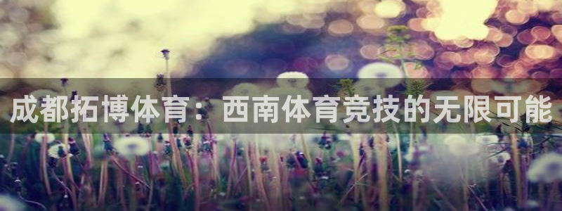 ns150xc：成都拓博体育：西南体育竞技的无限可能
