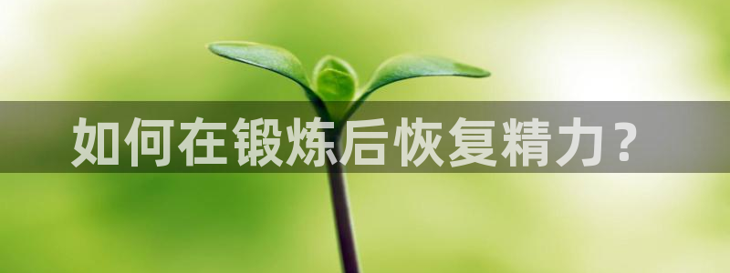 上海杏彩xc汽车电子有限公司