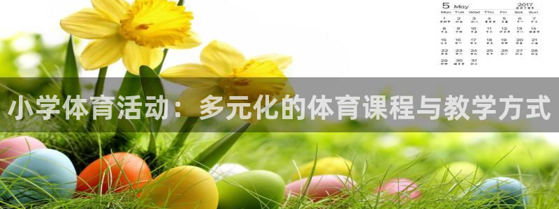 成都杏彩xc电子有限公司：小学体育活动：多元化的体育课程与教学方式