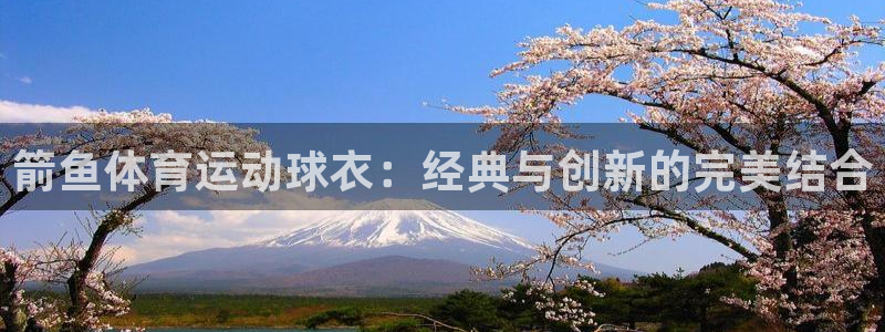 杏彩xc零能源集团：箭鱼体育运动球衣：经典与创新的完美结合