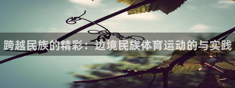 电容xc是什么意思：跨越民族的精彩：边境民族体育运动的与实践
