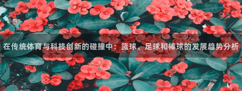 德国杏彩xc集团