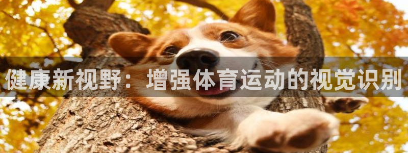 杏彩xc官网注册：健康新视野：增强体育运动的视觉识别