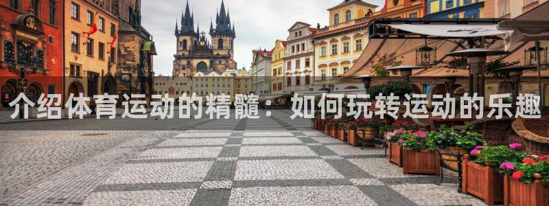 xc60 全新：介绍体育运动的精髓：如何玩转运动的乐趣
