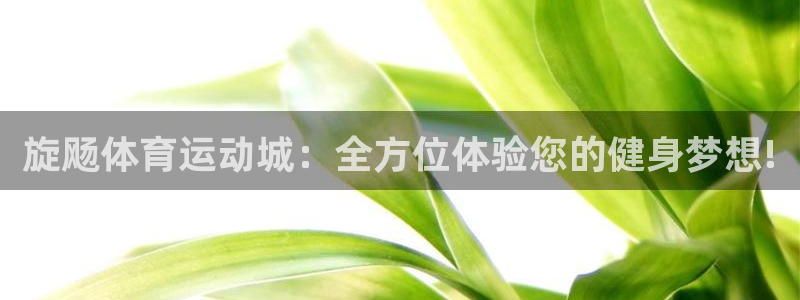 杏彩xc体育和杏耀是哪个公司的：旋飏体育运动城：全方位体验您的健身梦想!