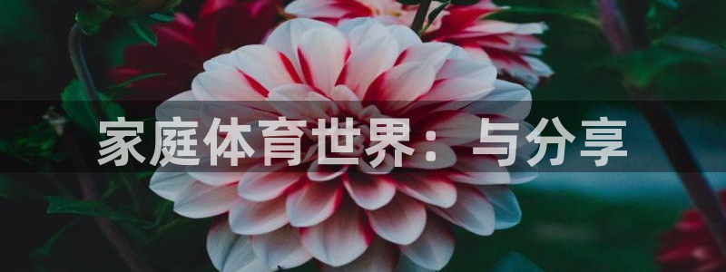 杏彩xc包怎么样：家庭体育世界：与分享