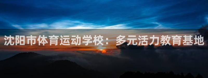 杏彩体育官网入口