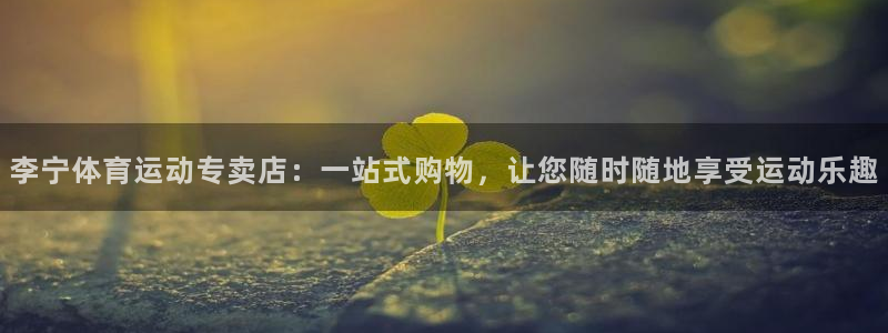 xc和xc有什么不同