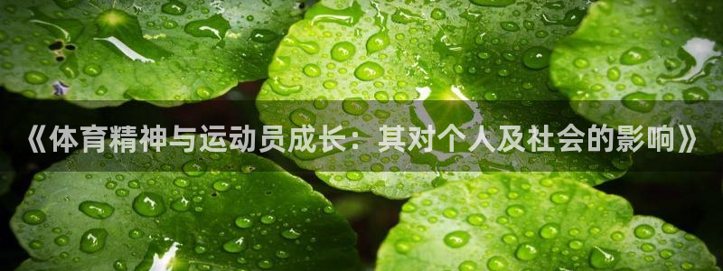 沃尔沃xc90 xc90：《体育精神与运动员成长：其对个人及社会的影响》