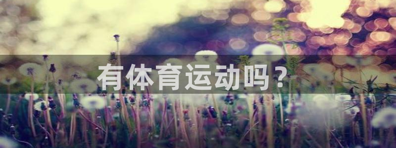 新沃尔沃xc90质量如何：有体育运动吗？