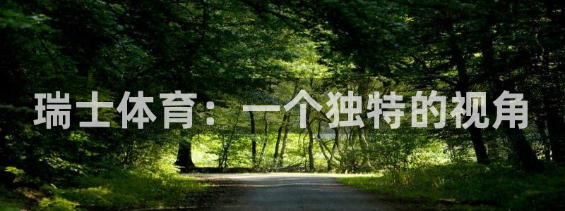 xc60重：瑞士体育：一个独特的视角