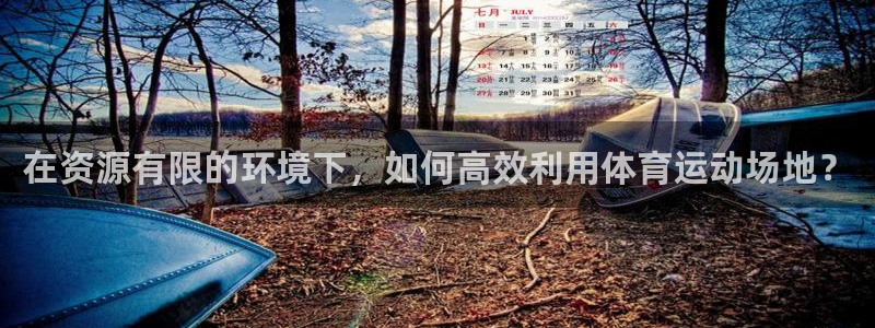 xc30：在资源有限的环境下，如何高效利用体育运动场地？