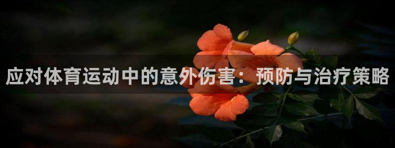 杏彩xc3登陆：应对体育运动中的意外伤害：预防与治疗策略