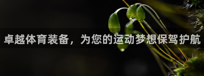 杏彩xc股份：卓越体育装备，为您的运动梦想保驾护航