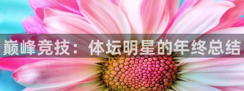 23v.xc：巅峰竞技：体坛明星的年终总结