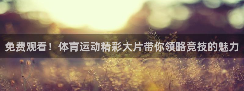 xc是什么意思：免费观看！体育运动精彩大片带你领略竞技的魅力